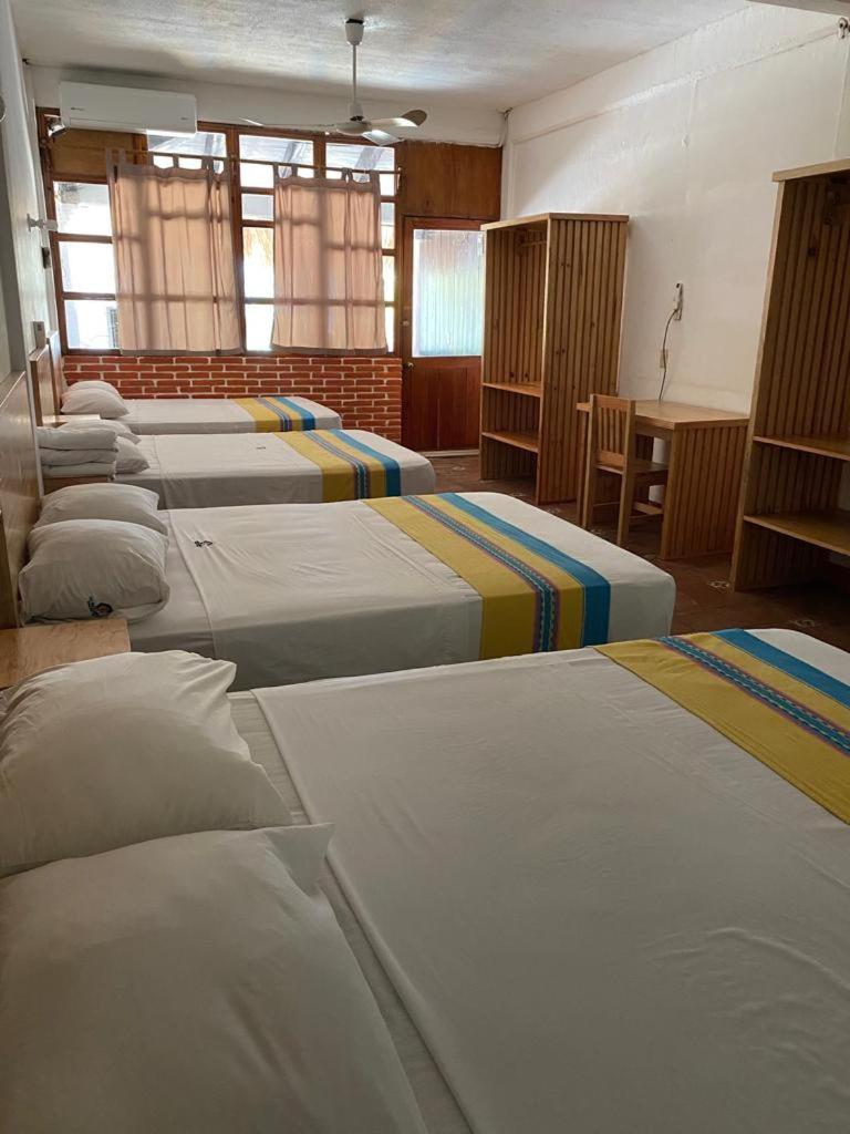 Hotel Bungalows Acuario Puerto Escondido  Eksteriør billede